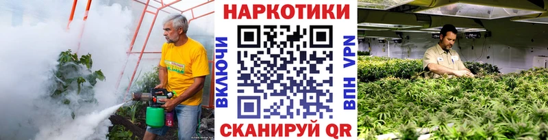 Где купить наркотики Кстово КОКАИН  Псилоцибиновые грибы  ГАШИШ  Кетамин  Мефедрон  Марихуана 
