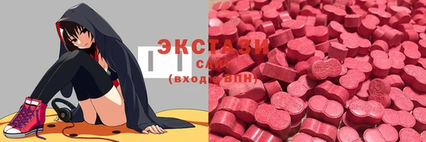 индика Нягань