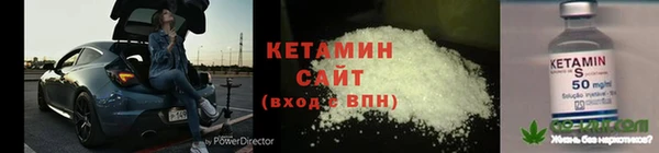 индика Нягань