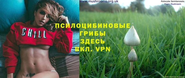 герыч Новокубанск