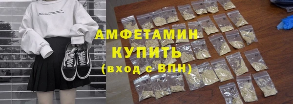 индика Нягань