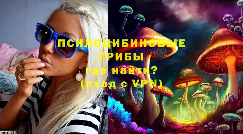 Галлюциногенные грибы Psilocybine cubensis Кстово